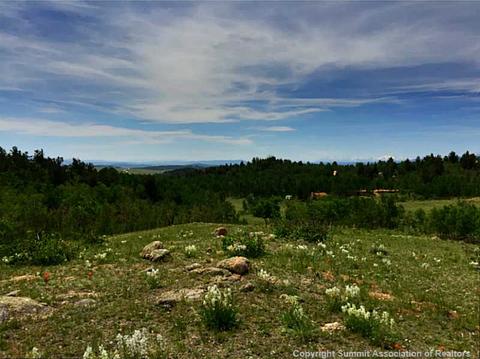 89 Gadwall Rd, Como, CO 80432 photo 3