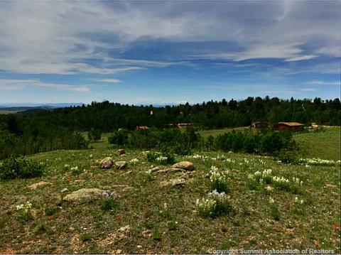 89 Gadwall Rd, Como, CO 80432 photo 2