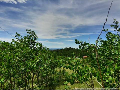89 Gadwall Rd, Como, CO 80432 photo 5