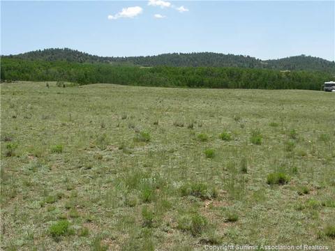 450 Night Hawk Cir, Como, CO 80432 photo 9