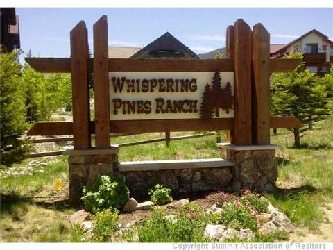 60 Mule Deer Ct, Dillon, CO 80435 photo 1