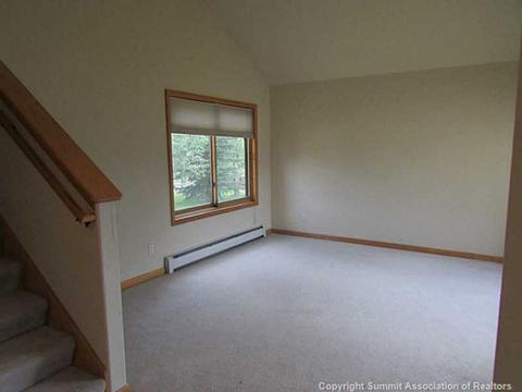 234 Rabbit Ct, Silverthorne, CO 80498 photo 4
