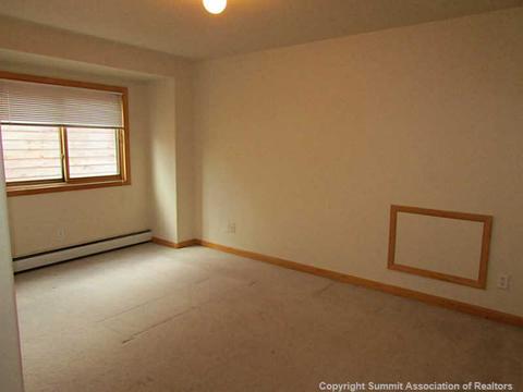 234 Rabbit Ct, Silverthorne, CO 80498 photo 10