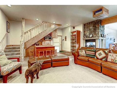 729 Willowbrook Rd, Silverthorne, CO 80498 photo 21