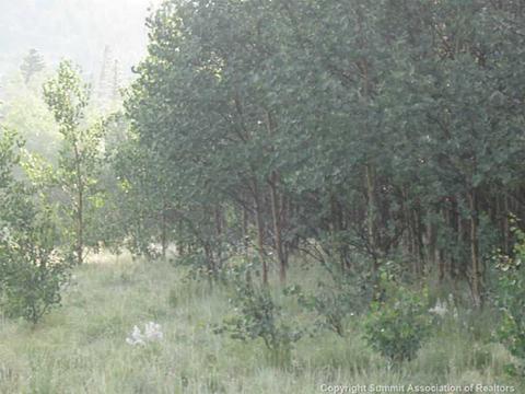 472 Haida Rd, Como, CO 80440 photo 5