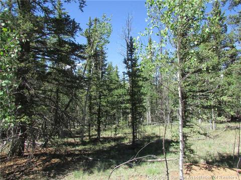 1109 Wampum Ln, Como, CO 80432 photo 8