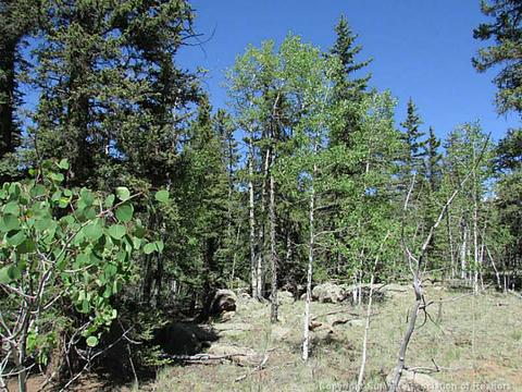 1109 Wampum Ln, Como, CO 80432 photo 2