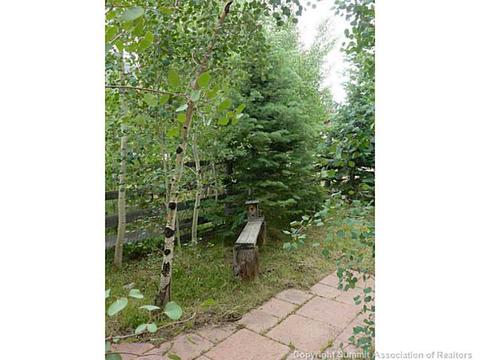 151 Tenderfoot St, Dillon, CO 80435 photo 23