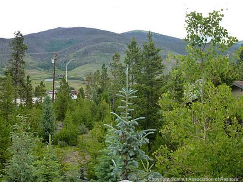 151 Tenderfoot St, Dillon, CO 80435 photo 20