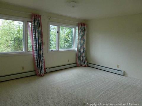 151 Tenderfoot St, Dillon, CO 80435 photo 13