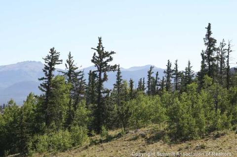 3838 Arrowhead Dr, Como, CO 80432 photo 17