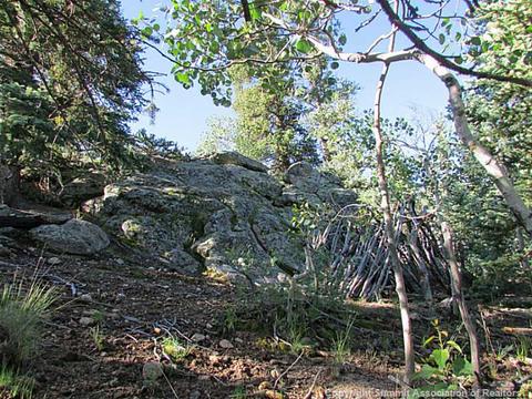 708 Wampum Ln, Como, CO 80432 photo 7