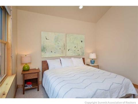 21 Spinner Pl, Silverthorne, CO 80498 photo 11