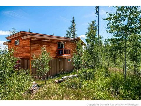 68 Sky Pilot Ln, Silverthorne, CO 80498 photo 22