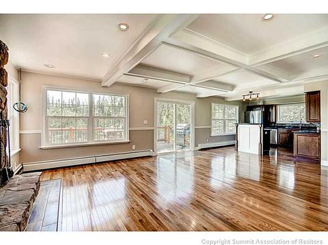 68 Sky Pilot Ln, Silverthorne, CO 80498 photo 4