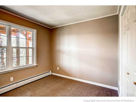 68 Sky Pilot Ln, Silverthorne, CO 80498 photo 15