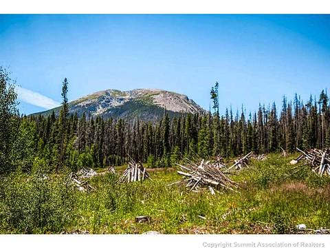 68 Sky Pilot Ln, Silverthorne, CO 80498 photo 24