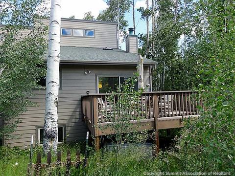 181 Poplar Cir, Silverthorne, CO 80498 photo 2