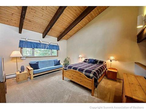 181 Poplar Cir, Silverthorne, CO 80498 photo 13