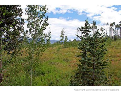 181 Poplar Cir, Silverthorne, CO 80498 photo 4