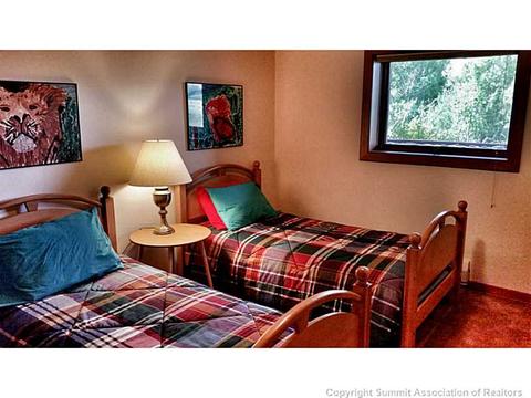 1323 Johnson Rd, Silverthorne, CO 80498 photo 19