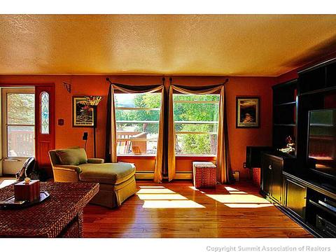 428 Cascade Cir, Silverthorne, CO 80498 photo 18