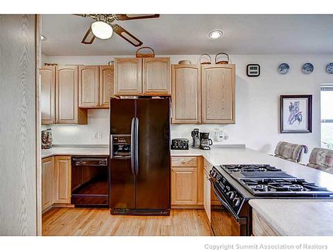 58 Bashore Ct, Silverthorne, CO 80498 photo 7