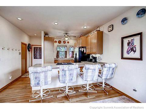 58 Bashore Ct, Silverthorne, CO 80498 photo 8