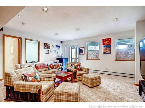 58 Bashore Ct, Silverthorne, CO 80498 photo 11