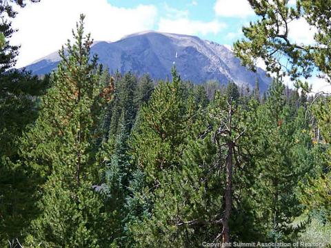 613 Willowbrook Rd, Silverthorne, CO 80498 photo 1