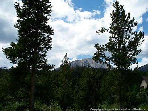 613 Willowbrook Rd, Silverthorne, CO 80498 photo 19
