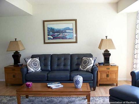 613 Willowbrook Rd, Silverthorne, CO 80498 photo 11