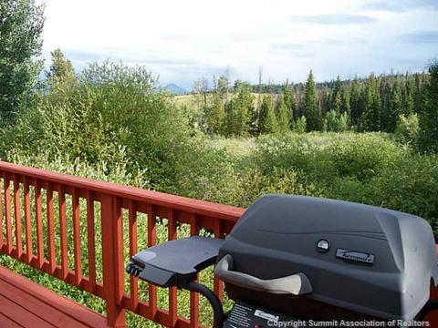 613 Willowbrook Rd, Silverthorne, CO 80498 photo 20