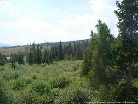 613 Willowbrook Rd, Silverthorne, CO 80498 photo 22