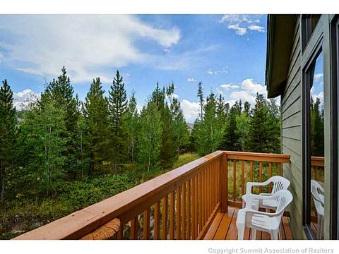 365 Black Hawk Cir, Silverthorne, CO 80498 photo 22