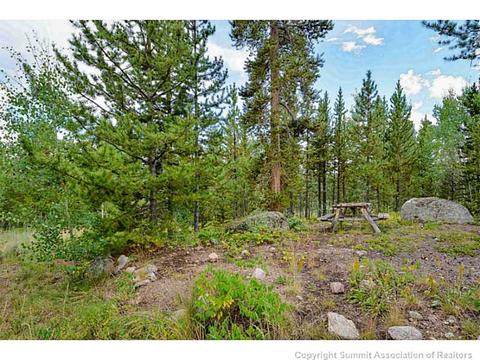 365 Black Hawk Cir, Silverthorne, CO 80498 photo 23