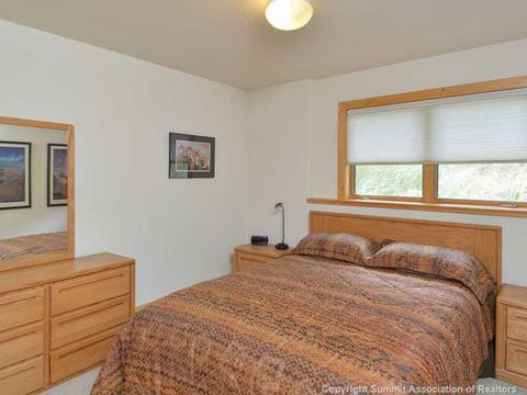 365 Black Hawk Cir, Silverthorne, CO 80498 photo 8