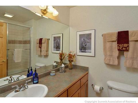 365 Black Hawk Cir, Silverthorne, CO 80498 photo 20