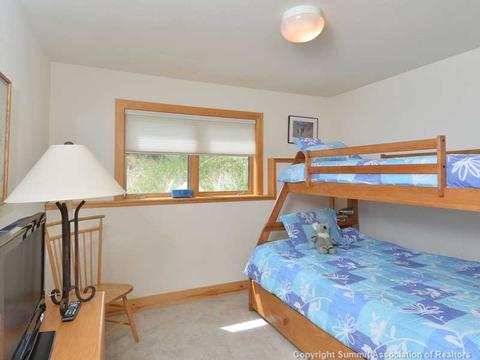 365 Black Hawk Cir, Silverthorne, CO 80498 photo 9