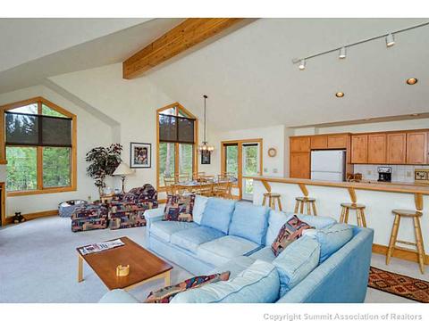 365 Black Hawk Cir, Silverthorne, CO 80498 photo 14