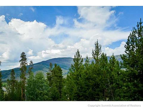 365 Black Hawk Cir, Silverthorne, CO 80498 photo 24