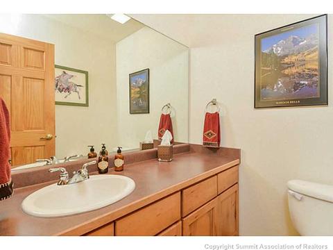 365 Black Hawk Cir, Silverthorne, CO 80498 photo 21