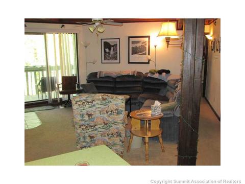 8100 Ryan Gulch Rd #E207, Silverthorne, CO 80498 photo 10