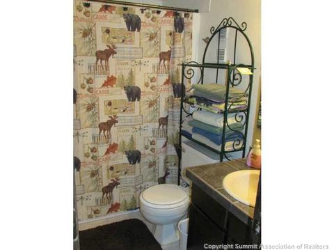8100 Ryan Gulch Rd #E207, Silverthorne, CO 80498 photo 11