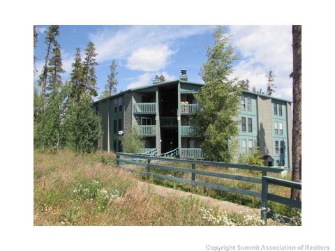 8100 Ryan Gulch Rd #E207, Silverthorne, CO 80498 photo 3