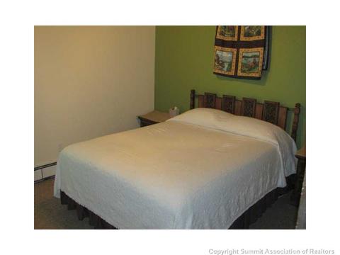 8100 Ryan Gulch Rd #E207, Silverthorne, CO 80498 photo 13