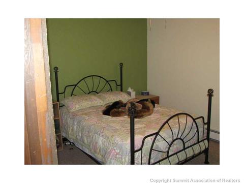 8100 Ryan Gulch Rd #E207, Silverthorne, CO 80498 photo 12