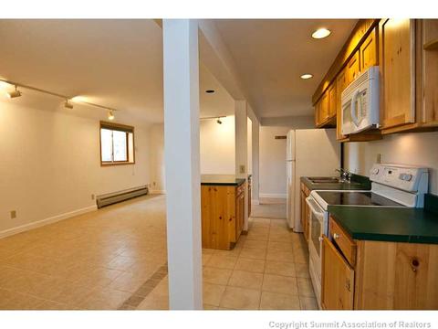 581 Tanglewood Ct, Silverthorne, CO 80498 photo 19