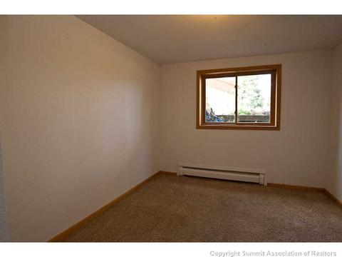 581 Tanglewood Ct, Silverthorne, CO 80498 photo 21