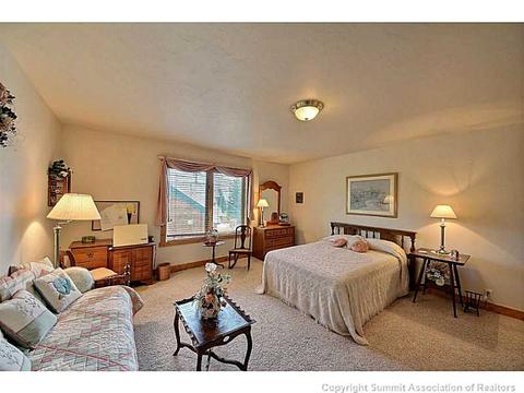 706 Willowbrook Rd, Silverthorne, CO 80498 photo 16